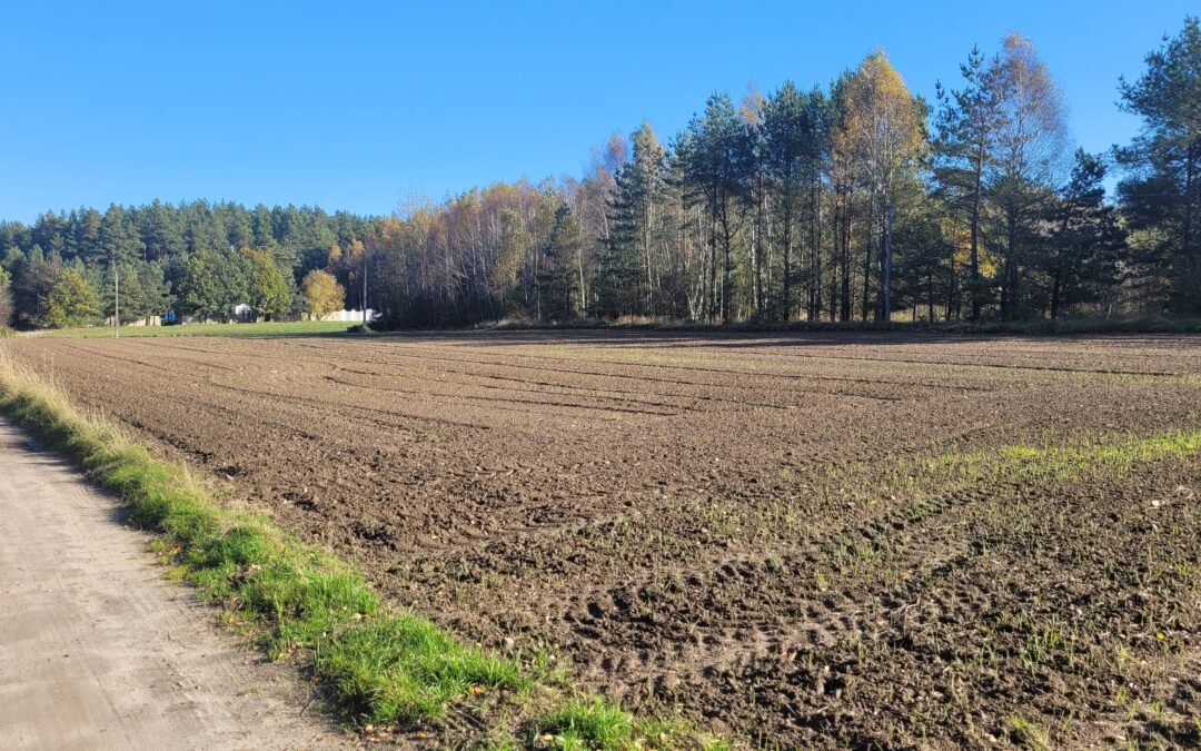 OKAZJA! 109zł/2. Działka z&nbsp;WZ w&nbsp;Donimierzu k. Szemuda